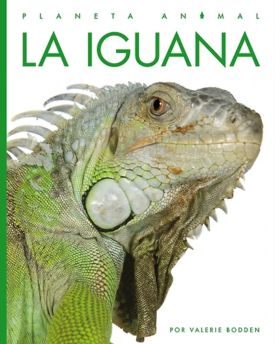 La iguana