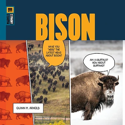 Bison