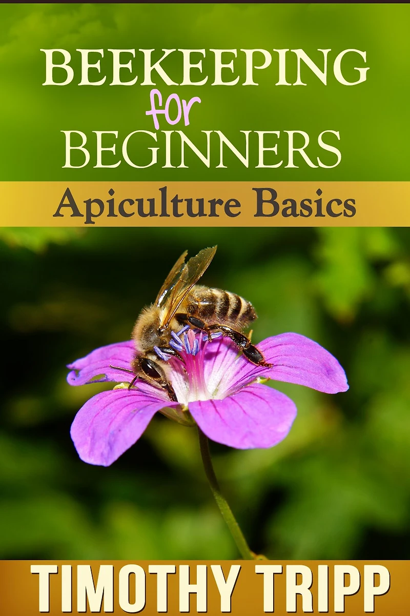 Beekeeping For Beginners: Apiculture Basics