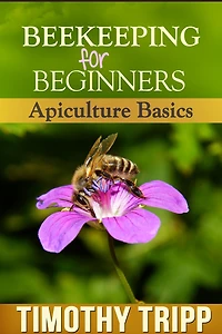 Beekeeping For Beginners: Apiculture Basics