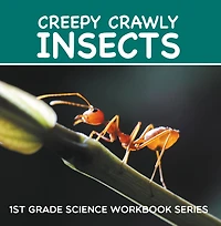 Creepy Crawly Insects : 1st Grade Science Workbook Series
