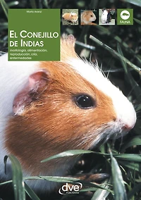 El Conejillo de Indias. Morfología, alimentación, reproducción, prevención y tratamiento de las enfermedades