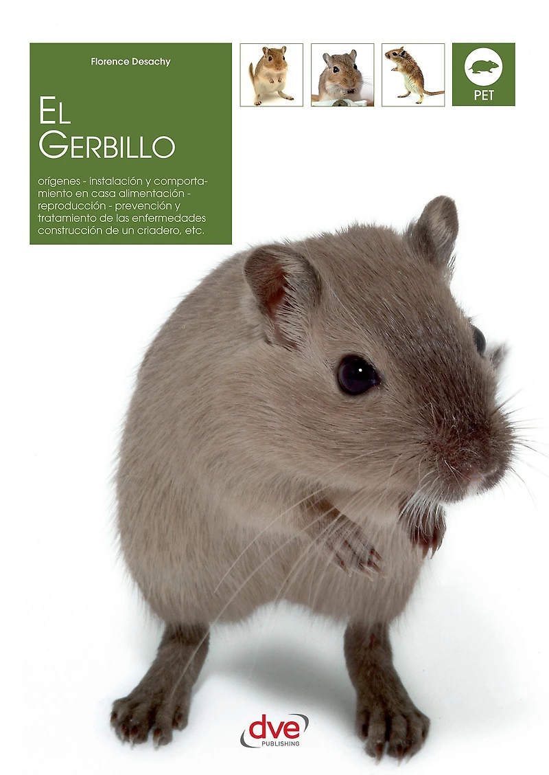 El gerbillo: Cuidados y bienestar del gerbillo