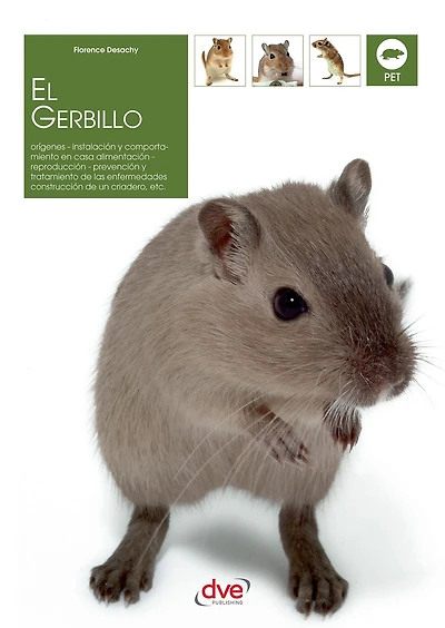 El gerbillo: Cuidados y bienestar del gerbillo