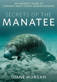 Secrets of the Manatee: An Insider's Guide to Florida's Most Iconic Marine Mammal