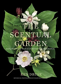 the Scentual Garden: Exploring World of Botanical Fragrance