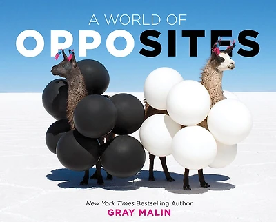 A World of Opposites