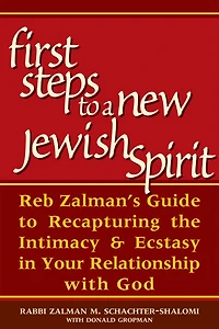 First Steps to a New Jewish Spirit: Reb Zalman's Guide Recapturing the Intimacy & Ecstasy Your Relationship with God