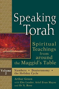 Speaking Torah Vol 2: Spiritual Teachings from around the Maggid's Table