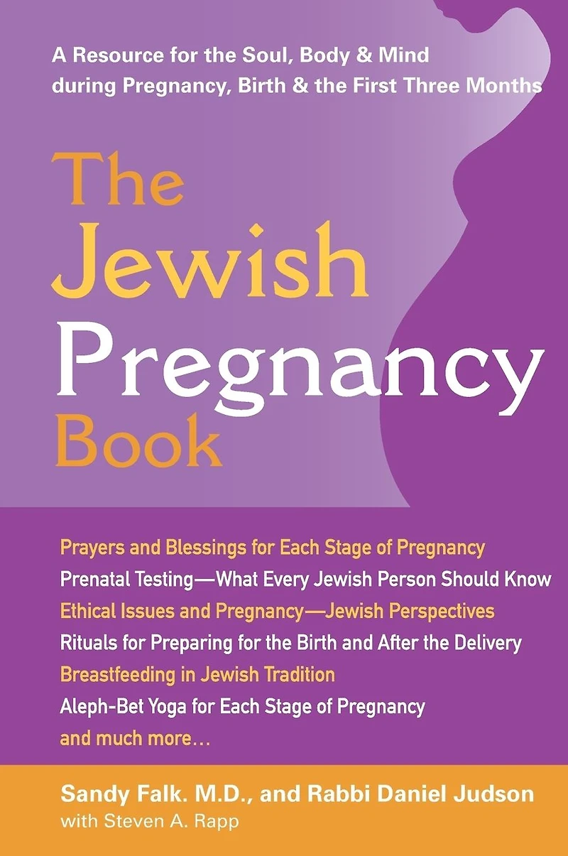 the Jewish Pregnancy Book: A Resource for Soul, Body & Mind during Pregnancy, Birth First Three Months