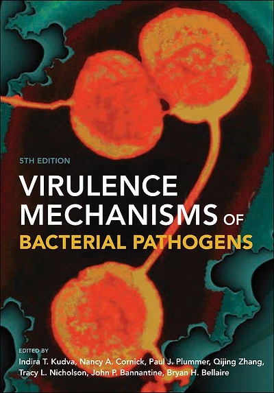 Virulence Mechanisms of Bacterial Pathogens