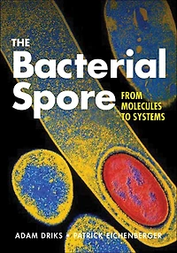 The Bacterial Spore: From Molecules to Systems