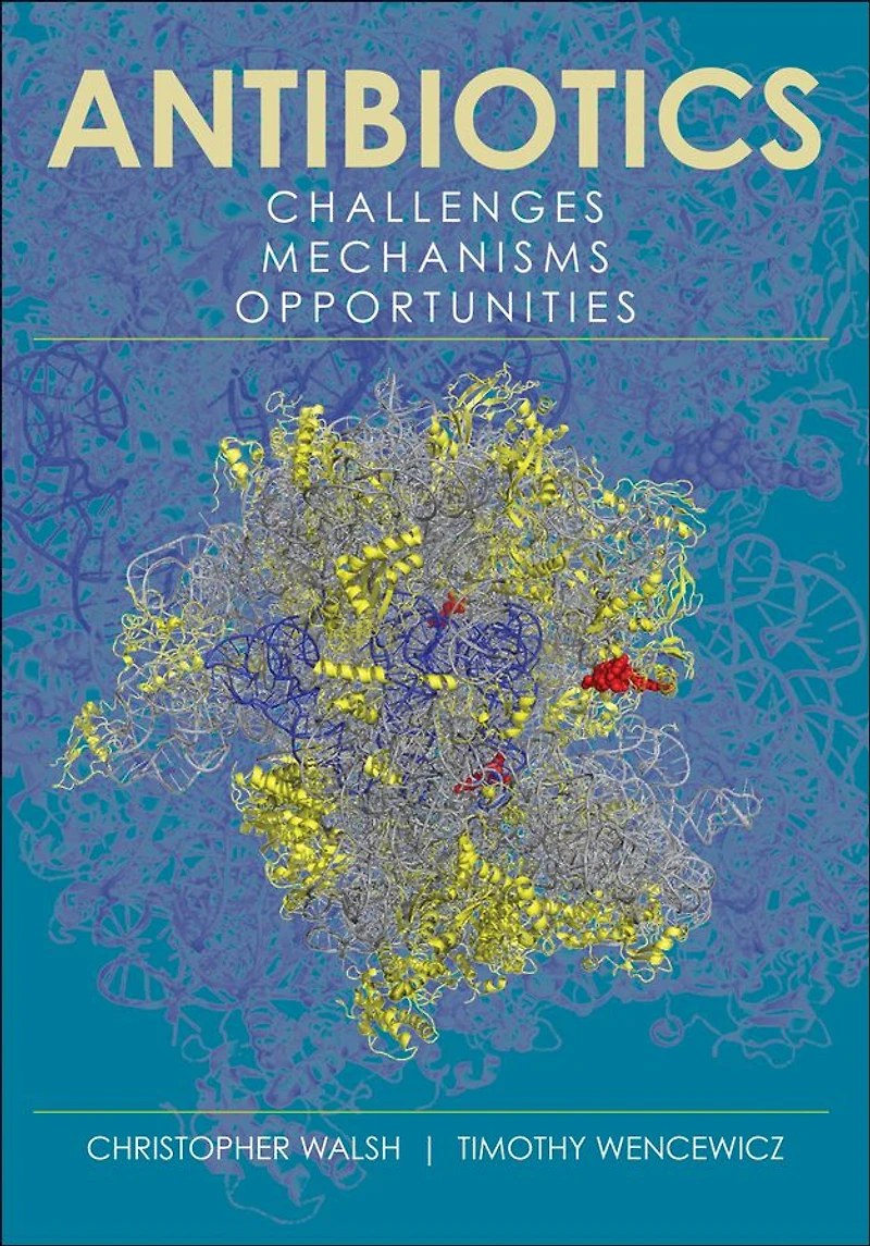 Antibiotics: Challenges, Mechanisms, Opportunities