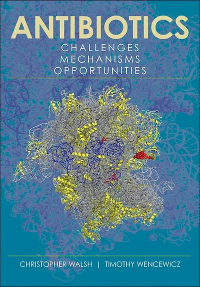 Antibiotics: Challenges, Mechanisms, Opportunities