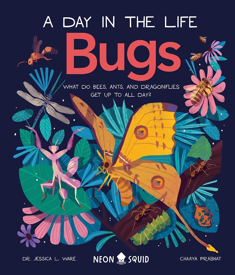 Bugs (A Day the Life): What Do Bees, Ants, and Dragonflies Get up to All Day?