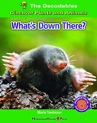 What's Down There?