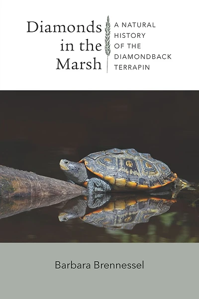 Diamonds the Marsh: A Natural History of Diamondback Terrapin