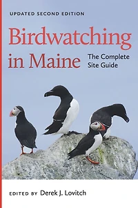 Birdwatching Maine: The Complete Site Guide