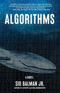 Algorithms: A Novel