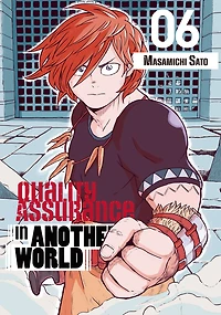 Quality Assurance Another World 6