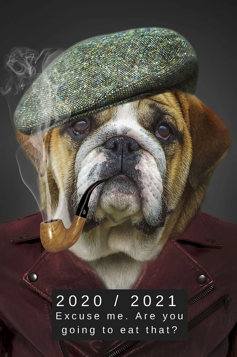 2020 & 2021 Two Year Weekly Planner Appointment Book Funny English Bulldog Two-Year Agenda Notebook For Dog Owners: Silly Meme Month Calendar: 2 Years of Monthly Plans Daily Reminder Logbook Day Log For Personal Goals, Work Schedule, etc.