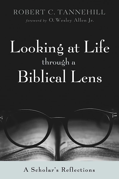 Looking at Life through a Biblical Lens: A Scholar's Reflections