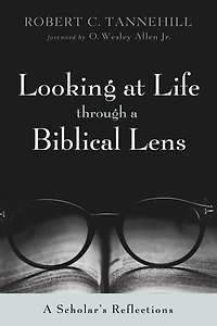 Looking at Life through a Biblical Lens: A Scholar's Reflections