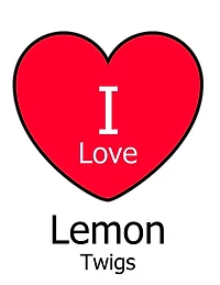 I Love Lemon Twigs: Large White Notebook/Journal for Writing 100 Pages, Lemon Twigs Gift for Girls, Boys, Women and Men