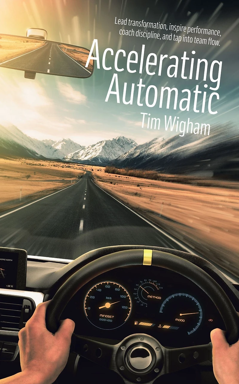 Accelerating Automatic: Lead Transformation, Inspire Performance, Coach Discipline, and Tap into Team Flow