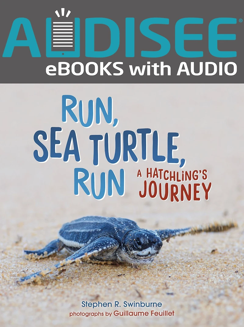Run, Sea Turtle, Run: A Hatchling's Journey