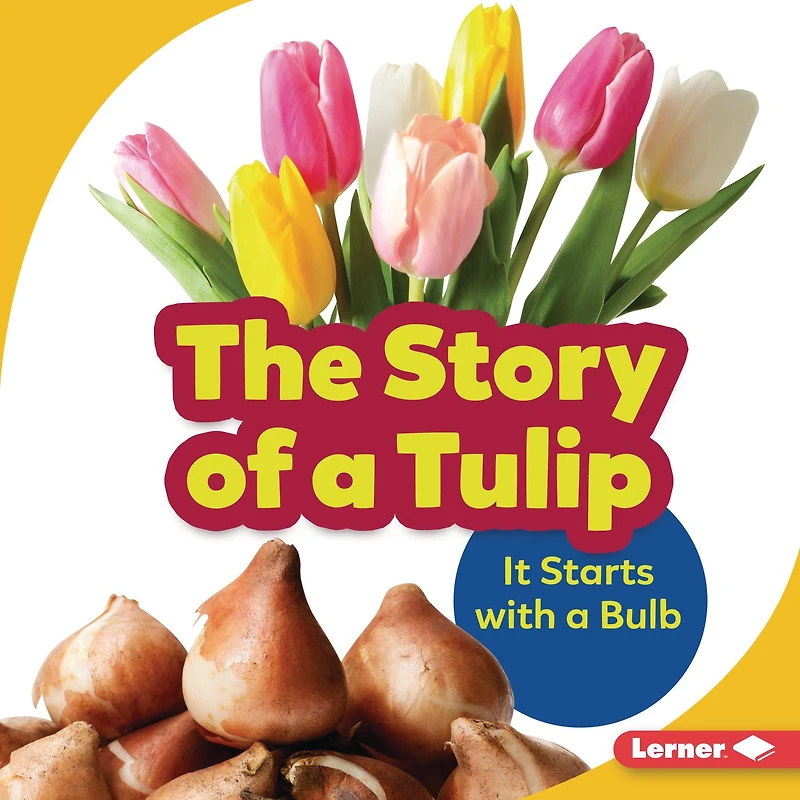 The Story of a Tulip: It Starts with Bulb