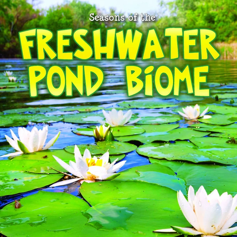 Seasons Of The Freshwater Pond Biome