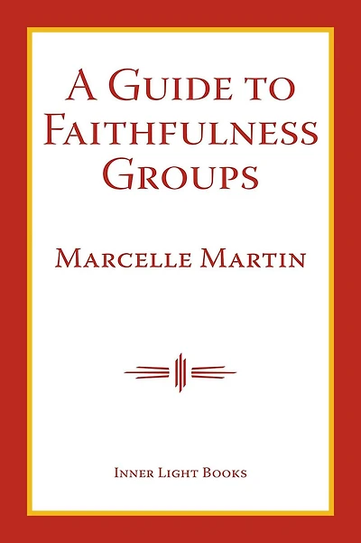 A Guide To Faithfulness Groups