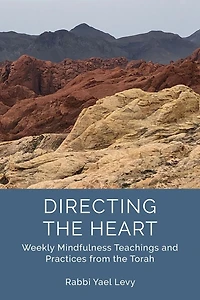 Directing the Heart: Weekly Mindfulness Teachings and Practices from Torah