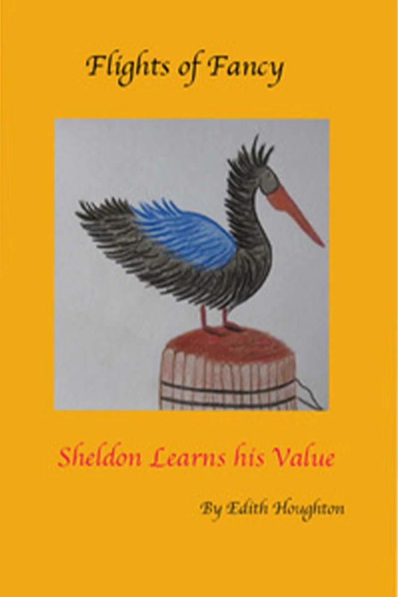 Sheldon Learns his Value