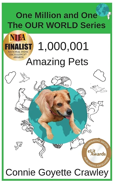 One Million and Amazing Pets