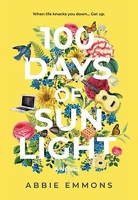 100 Days of Sunlight