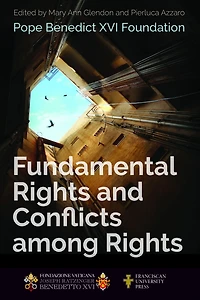 Fundamental Rights and Conflicts Among Rights
