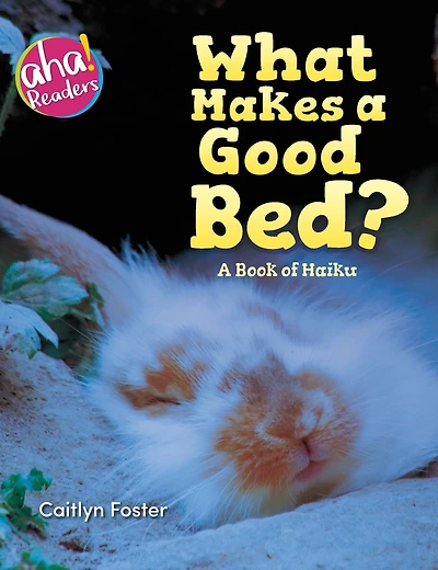 What Makes A Good Bed?: book of Haiku