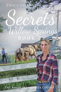 Secrets of Willow Springs - Book 2: The Amish of Lawrence County