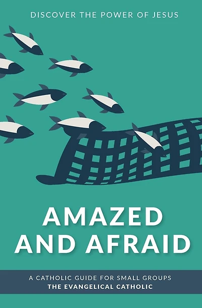 Amazed and Afraid: Discover the Power of Jesus