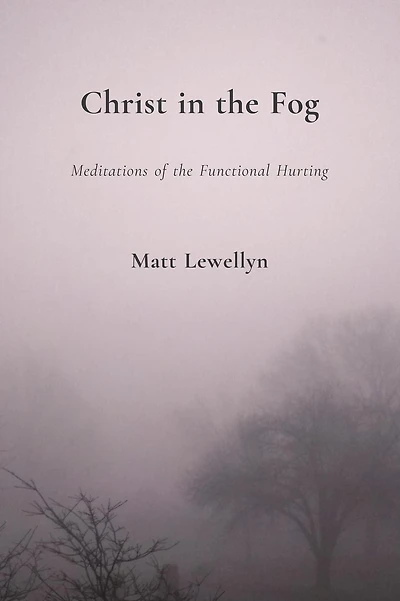 Christ in the Fog: Meditations of the Functional Hurting
