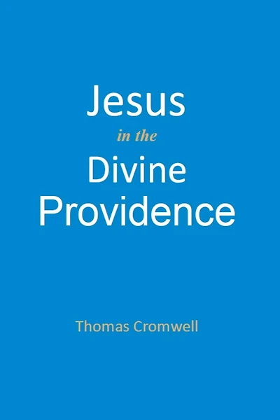 Jesus in the Divine Providence
