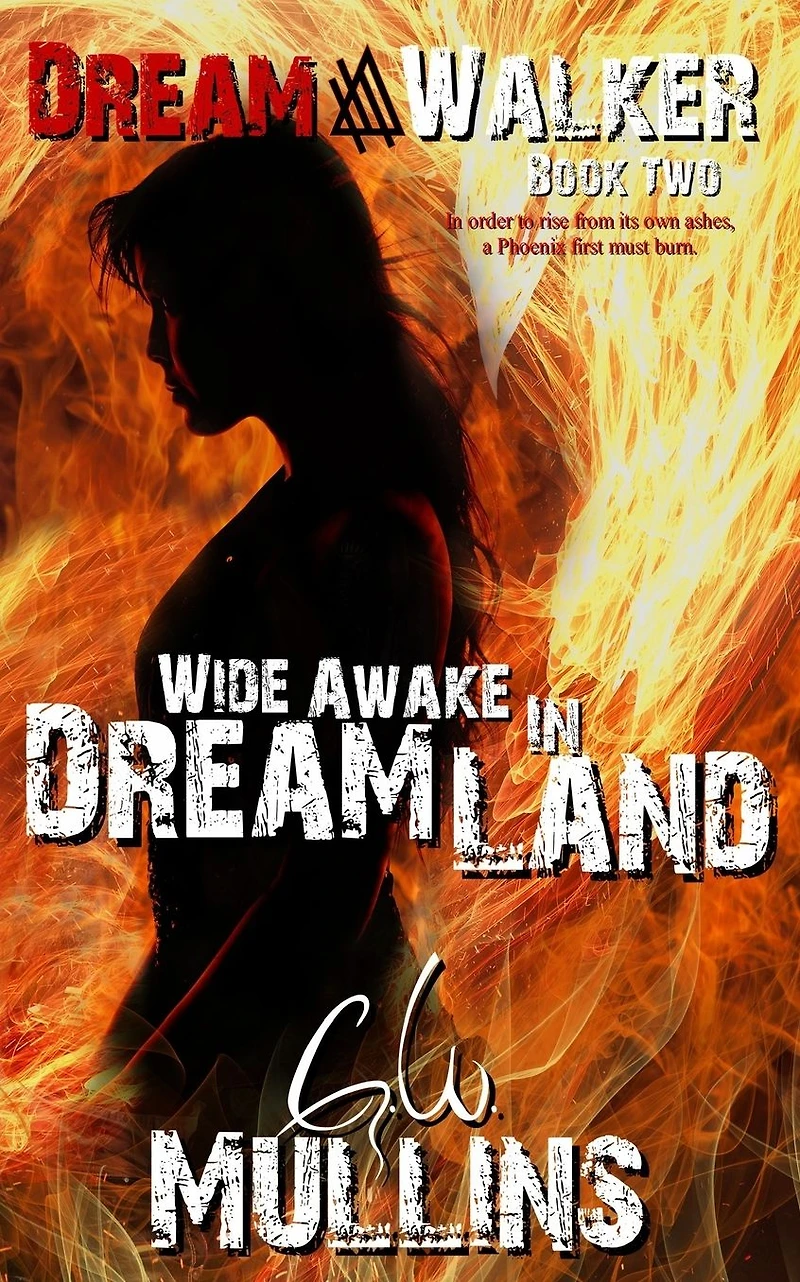 Wide Awake Dream Land