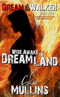 Wide Awake Dream Land
