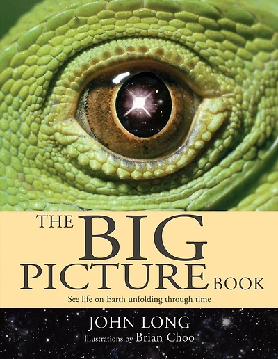 The Big Picture Book