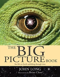 The Big Picture Book