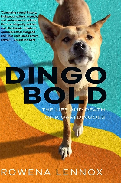 Dingo Bold: The Life and Death of K'gari Dingoes