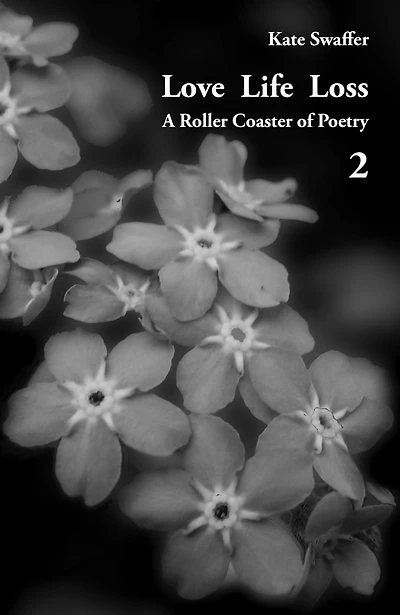 Love Life Loss - A Roller Coaster of Poetry Volume 2: Days with Dementia