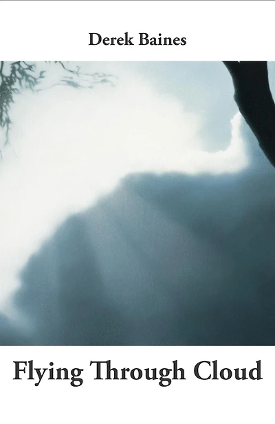 Flying Through Cloud